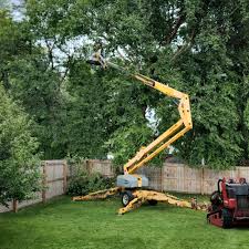 Leaf Removal in Spencer, NC